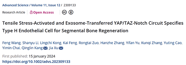 Tensile Stress‐Activated and Exosome‐Transferred YAP/TAZ‐Notch Circuit Specifies Type H Endothelial Cell for Segmental Bone Regeneration