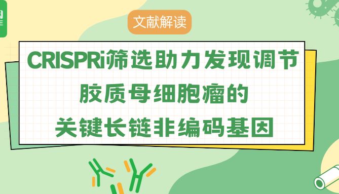【文献解读】CRISPRi筛选助力发现调节胶质母细胞瘤的关键长链非编码基因