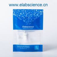 Elab Fluor® 488-Goat Anti-Rat IgG(H+L)_货号:E-AB-1137_二抗