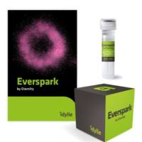 ​Everspark - A long-lasting buffer for dSTORM​