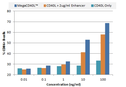 Enzo热点分享——细胞治疗中的T细胞活化 Enzo热点分享——细胞治疗中的T细胞活化
