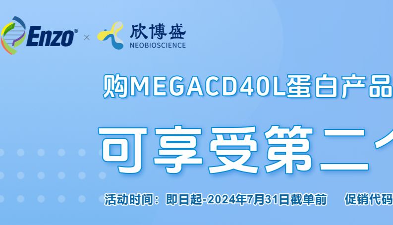 Enzo热销产品——MEGACD40L蛋白限时促销活动