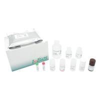 活性类鼻疽快速检测条