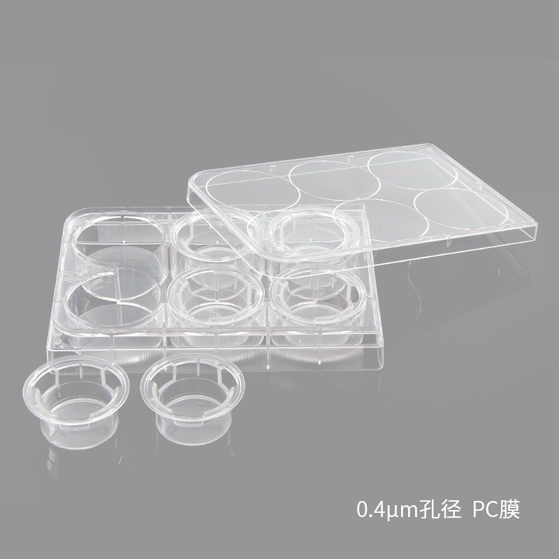 BeyoGold™细胞小室6孔板套装(0.4μm孔径, PC膜)