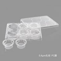 BeyoGold™细胞小室24孔板套装(5μm孔径, PC膜)