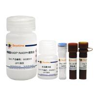 增强型NADP+/NADPH检测试剂盒(WST-8法)