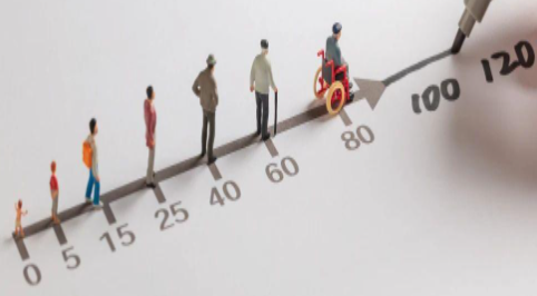 人类衰老之谜，就藏在这些小鼠里