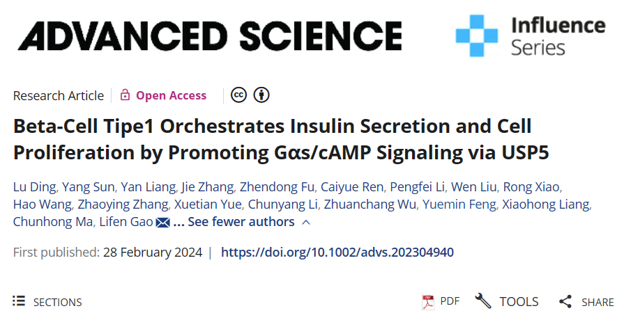 山东大学基础医学院马春红教授团队发现胰岛β细胞新干预靶点