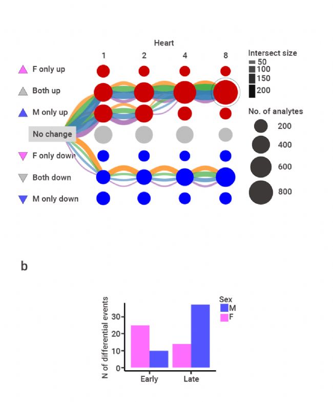趣味高分 | Nature：耐力运动训练能带来什么？| MedChemExpress (MCE)