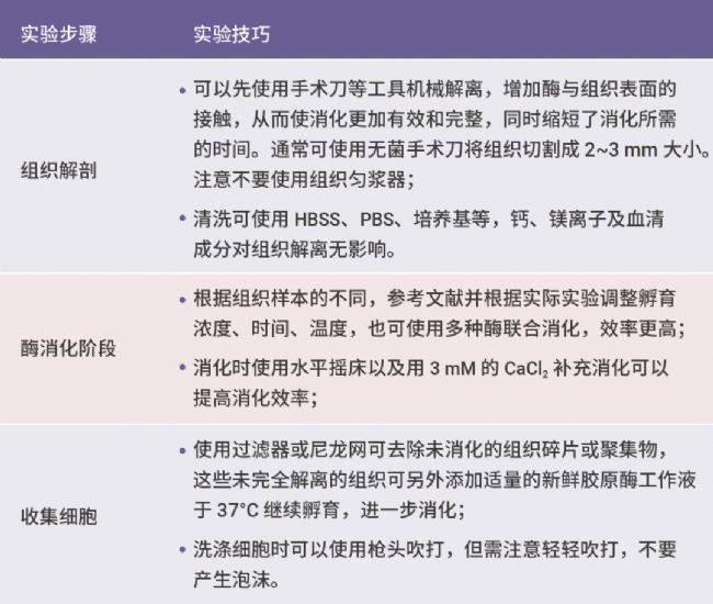 干货分享 | 胶原酶挑花眼？一文教你怎么选!（内含组织解离方法）