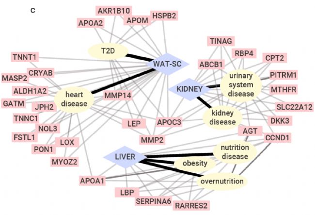 趣味高分 | Nature：耐力运动训练能带来什么？| MedChemExpress (MCE)