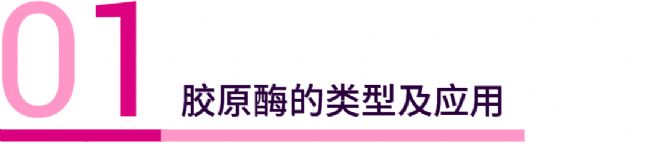 干货分享 | 胶原酶挑花眼？一文教你怎么选!（内含组织解离方法）