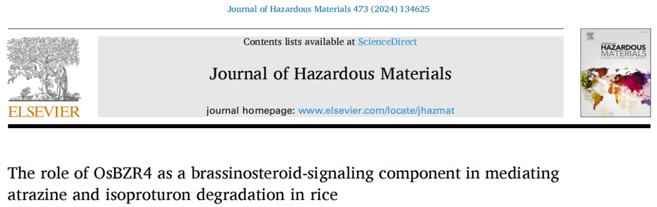 “稻”亦有道——盘点近期水稻研究的重大突破