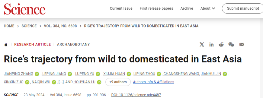 “稻”亦有道——盘点近期水稻研究的重大突破
