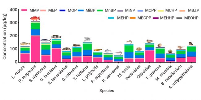 科研助攻 | 滴滴!同位素内标品的应用 | MedChemExpress (MCE)