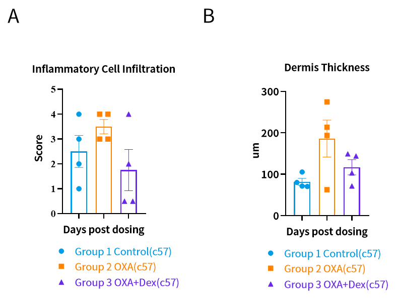 探秘特应性皮炎小鼠模型：药物评估与科学研究的得力助手！