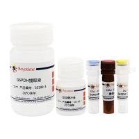G6PDH活性检测试剂盒(WST-8法)