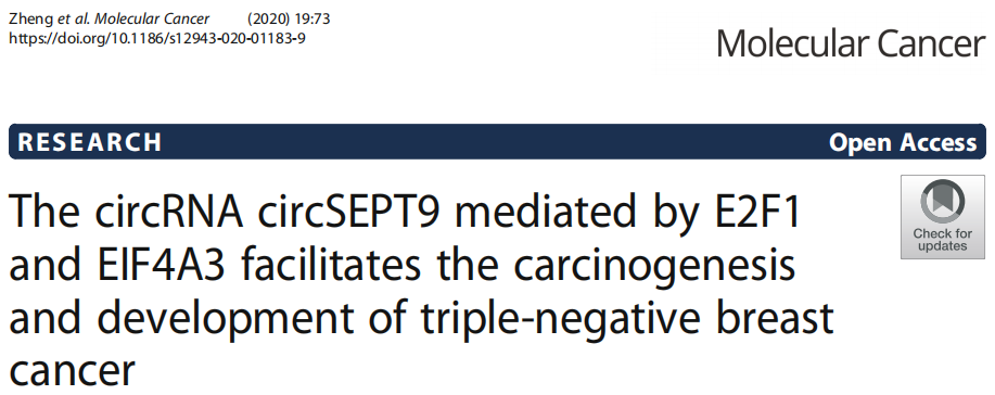 1+1＞2！深度解析RNA测序数据挖掘逻辑和后期实验设计思路，轻松研获10+ SCI