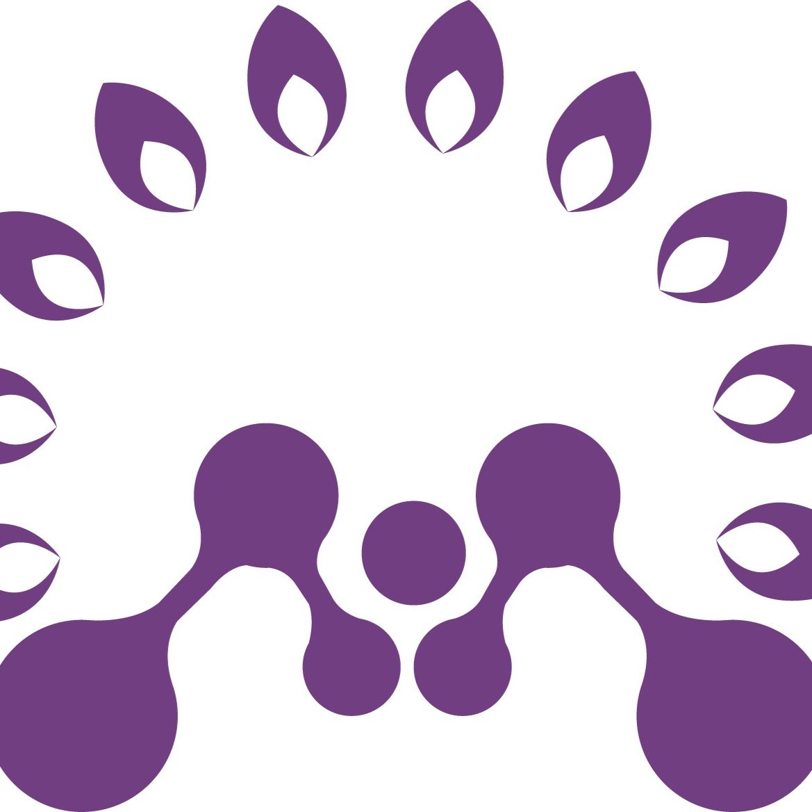 烟酰胺腺嘌呤二核苷酸二钠盐（NADH）