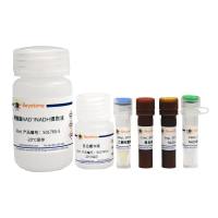 增强型NAD+/NADH检测试剂盒(WST-8法)
