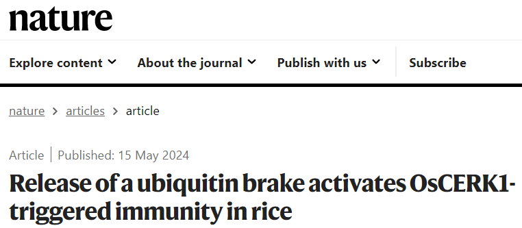 “稻”亦有道——盘点近期水稻研究的重大突破