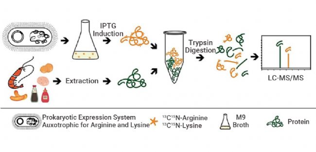 科研助攻 | 滴滴!同位素内标品的应用 | MedChemExpress (MCE)