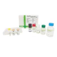 衰老调节器-人可溶性α-klotho ELISA 试剂盒
