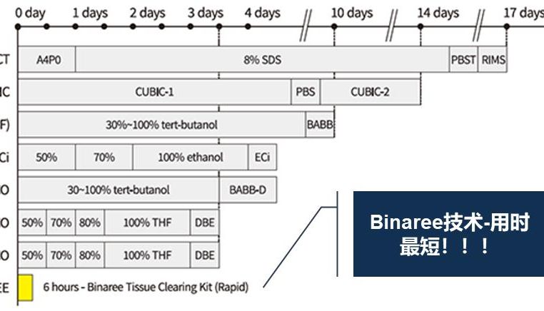 Binaree组织透明化试剂-暑期大促开始啦！