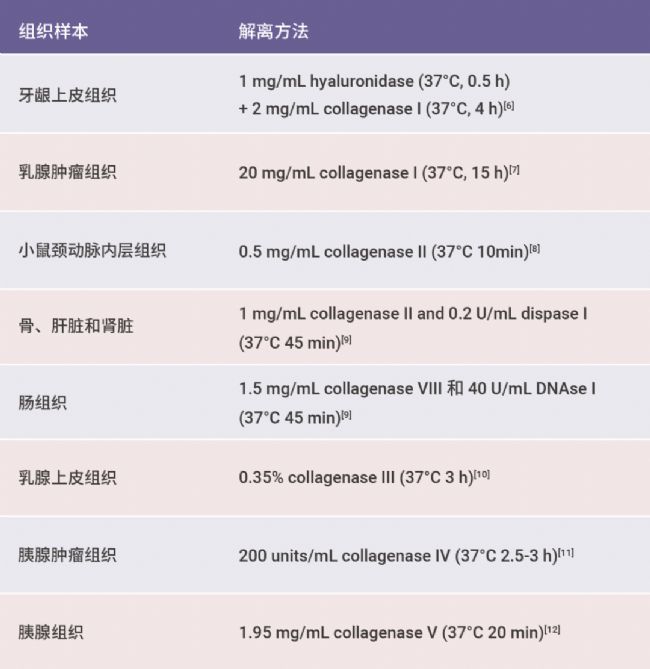 干货分享 | 胶原酶挑花眼？一文教你怎么选!（内含组织解离方法）