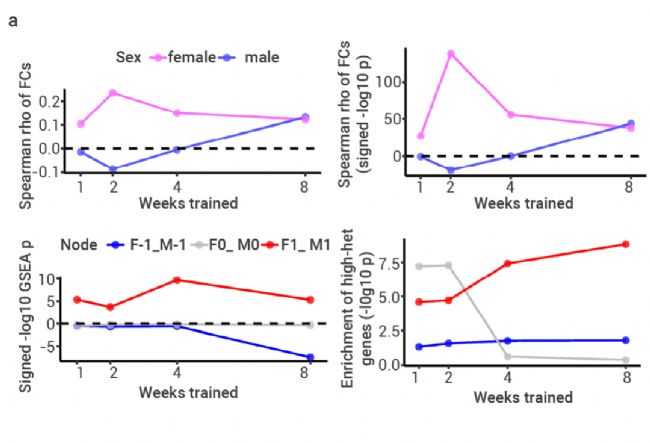 趣味高分 | Nature：耐力运动训练能带来什么？| MedChemExpress (MCE)