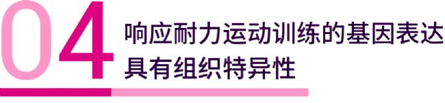 趣味高分 | Nature：耐力运动训练能带来什么？| MedChemExpress (MCE)