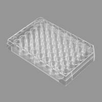 BeyoGold™ 48孔细胞培养板