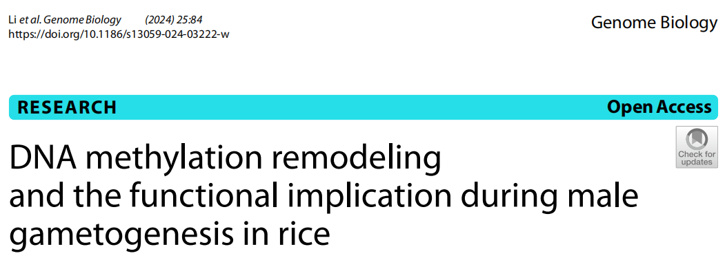 “稻”亦有道——盘点近期水稻研究的重大突破