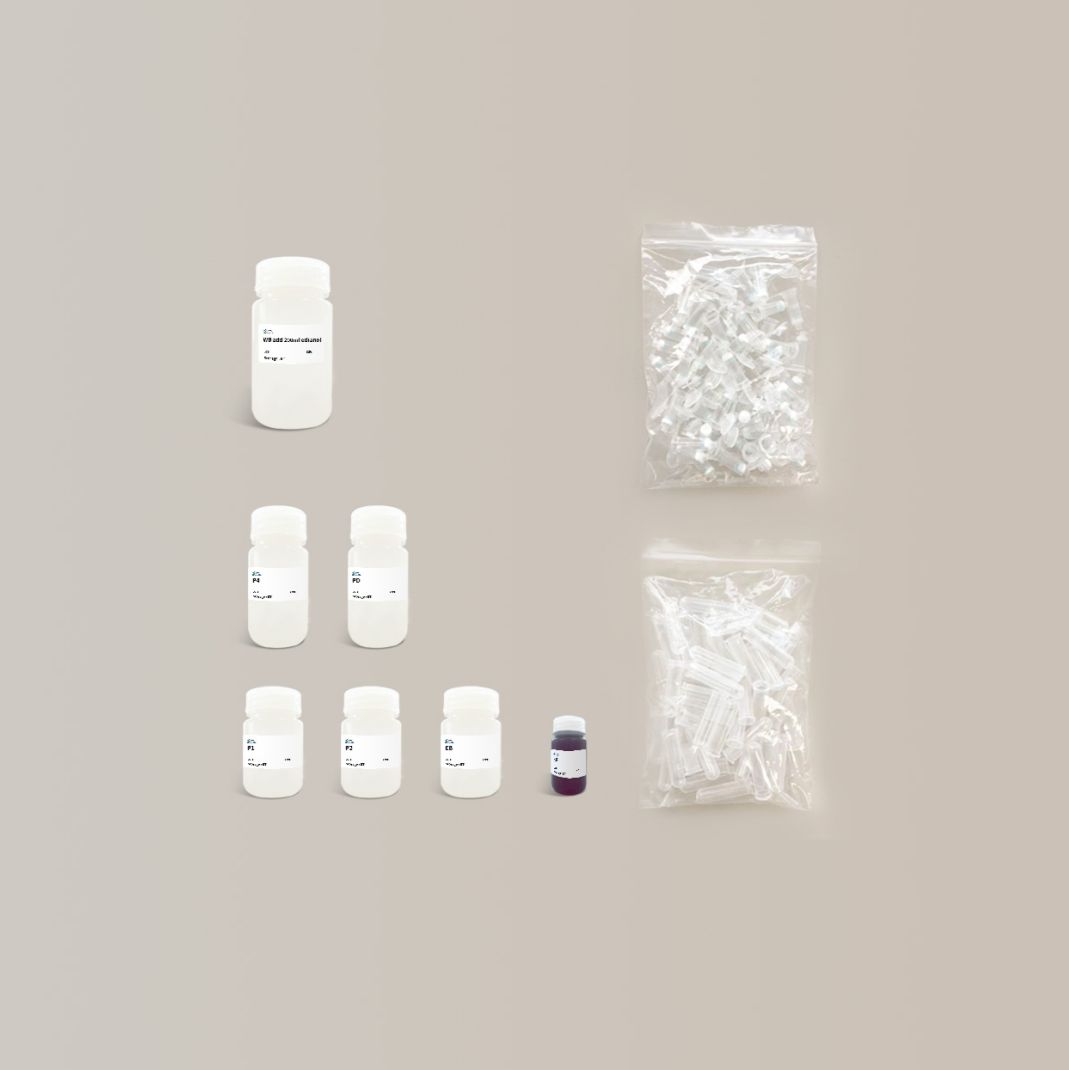 BiOligoHP常规质粒小提试剂盒(离心柱)