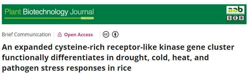 “稻”亦有道——盘点近期水稻研究的重大突破