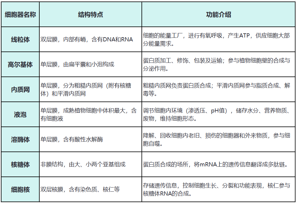 科学与美学的结合体:植物亚细胞定位技术详解