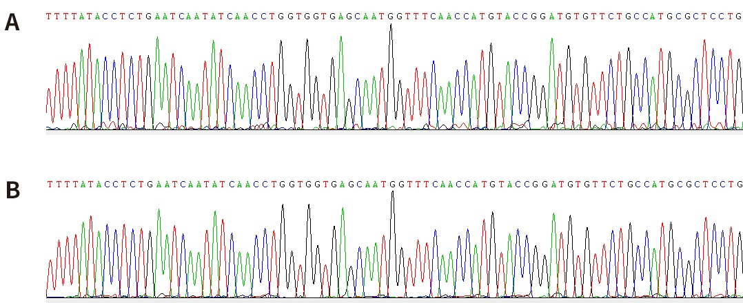 引物去除试剂盒