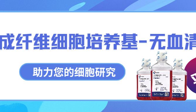 革新科研：成纤维细胞培养基-无血清，助力您的细胞研究！