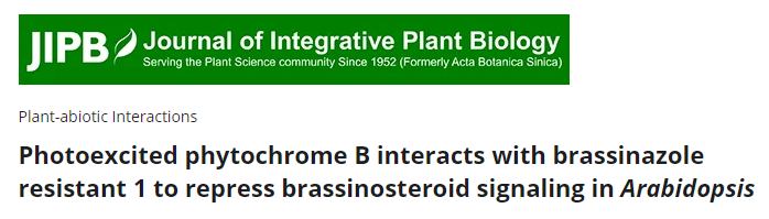 “聚焦新质生产力，激发科研新动能”|LCA跻身蛋白互作研究的新锐力量