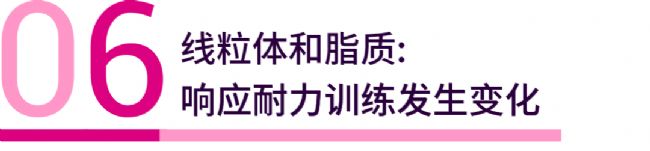 趣味高分 | Nature：耐力运动训练能带来什么？| MedChemExpress (MCE)