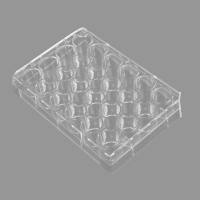 BeyoGold™ 24孔细胞培养板