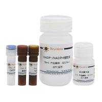 NADP+/NADPH检测试剂盒(WST-8法)