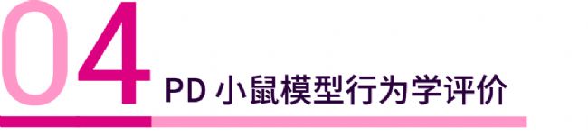 实验操作 | 帕金森病造模方法盘点 & 技巧全解析！| MedChemExpress (MCE)