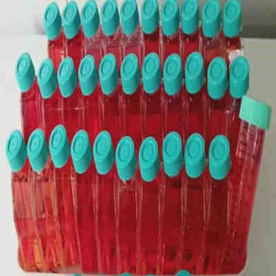 人口腔咽头癌胸水转移细胞Detroit562