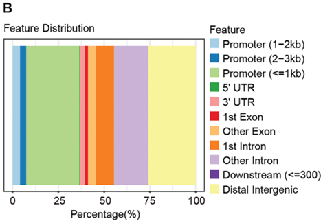 产品细节图片12