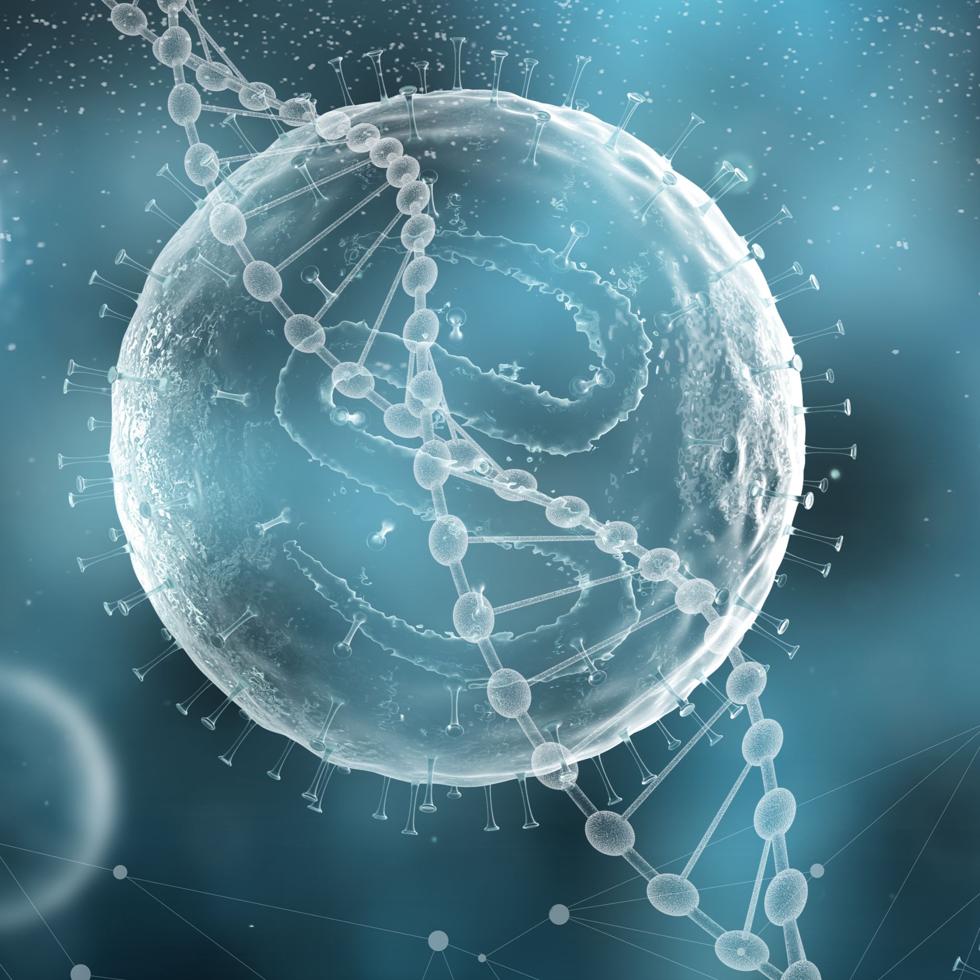 Visium HD | 空间基因表达