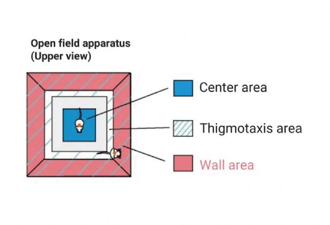 实验操作 | 帕金森病造模方法盘点 & 技巧全解析！| MedChemExpress (MCE)