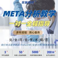Meta分析一对一指导服务