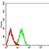 Mouse Monoclonal Antibody to CD10