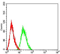 Mouse Monoclonal Antibody to C